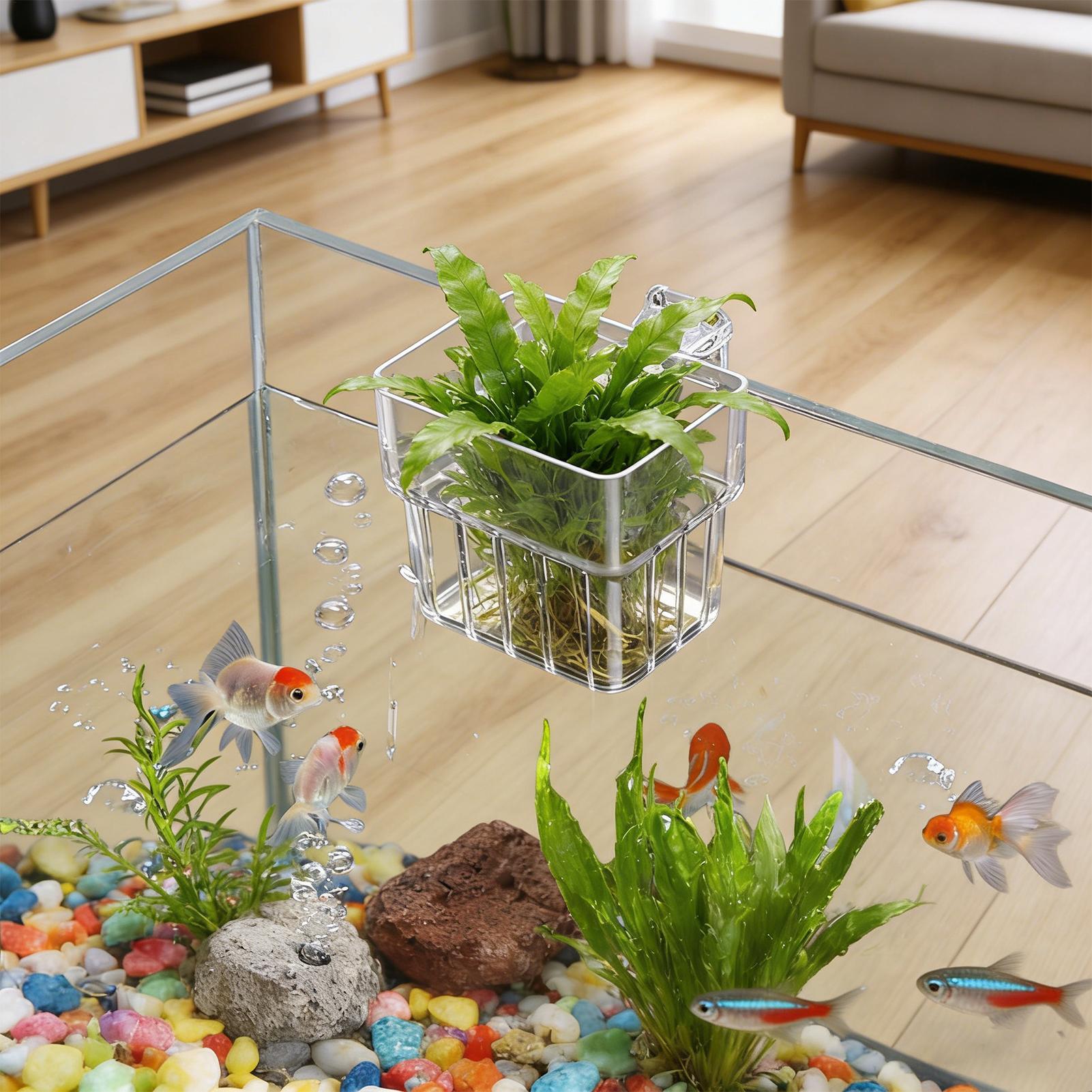 Gardening Tools Brands - 투명한 걸이식 수족관 식물 홀더 화분,