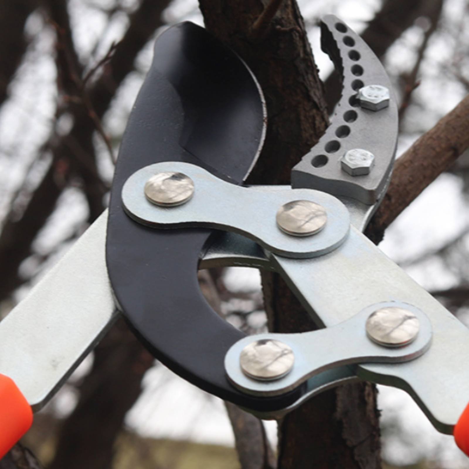 Gardening Tools - 텔레스코픽 가지치기 가위 날카로운 칼날 튼튼한