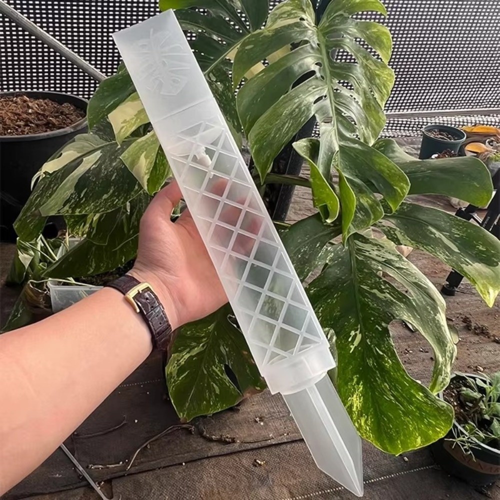 Automatic Plant Waterer - D자형 자동급수 식물 드립 플라스틱 조절식