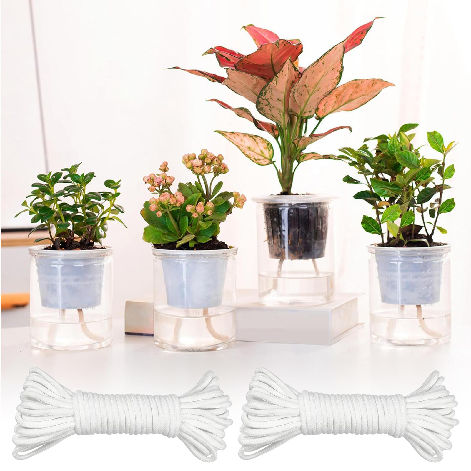자가 급수용 식물 심지 2피스 자동 급수 로프 화분 모 - Automatic Plant Waterer 리뷰 및 가격