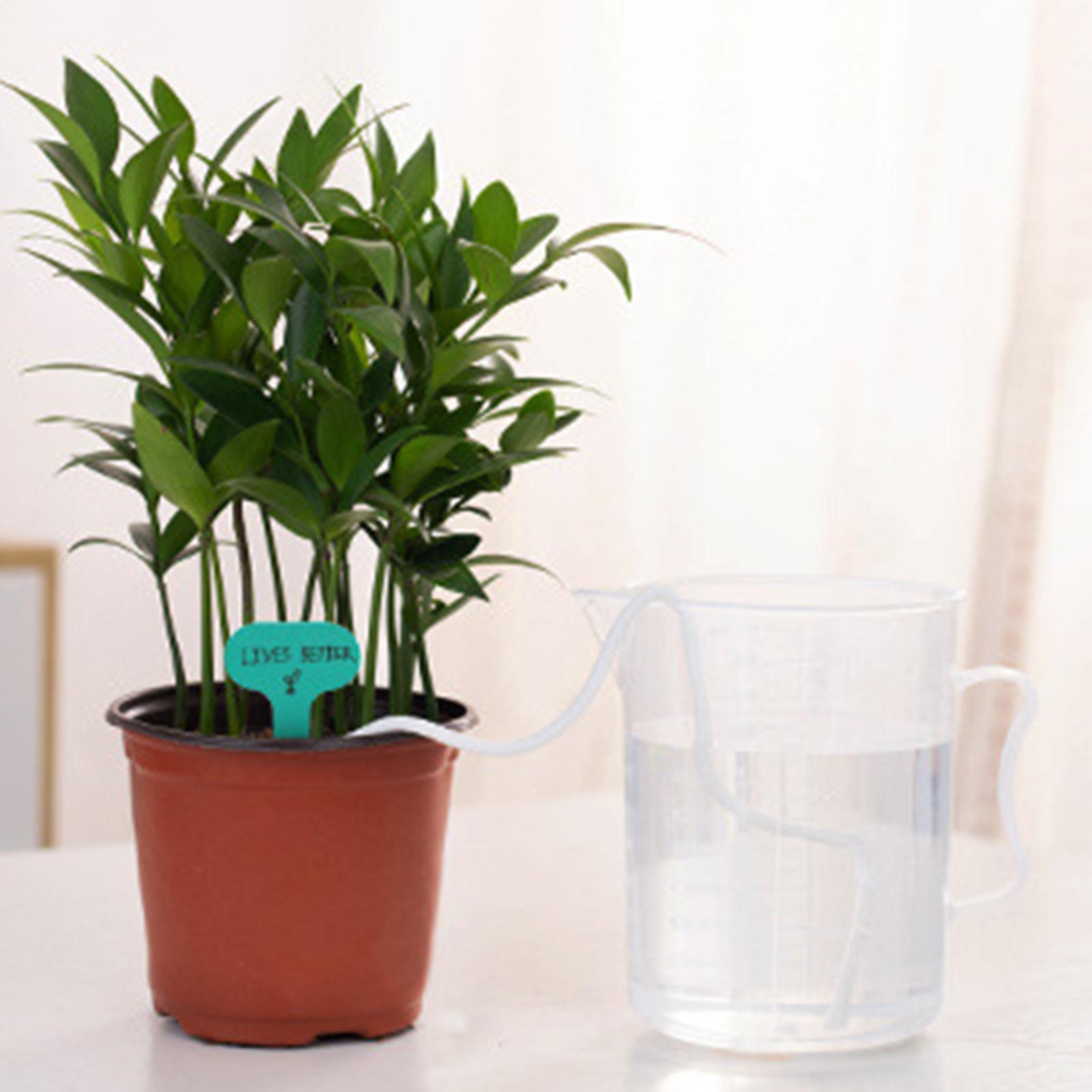 자가 급수용 식물 심지 2피스 자동 급수 로프 화분 모 - Automatic Plant Waterer 리뷰 및 가격