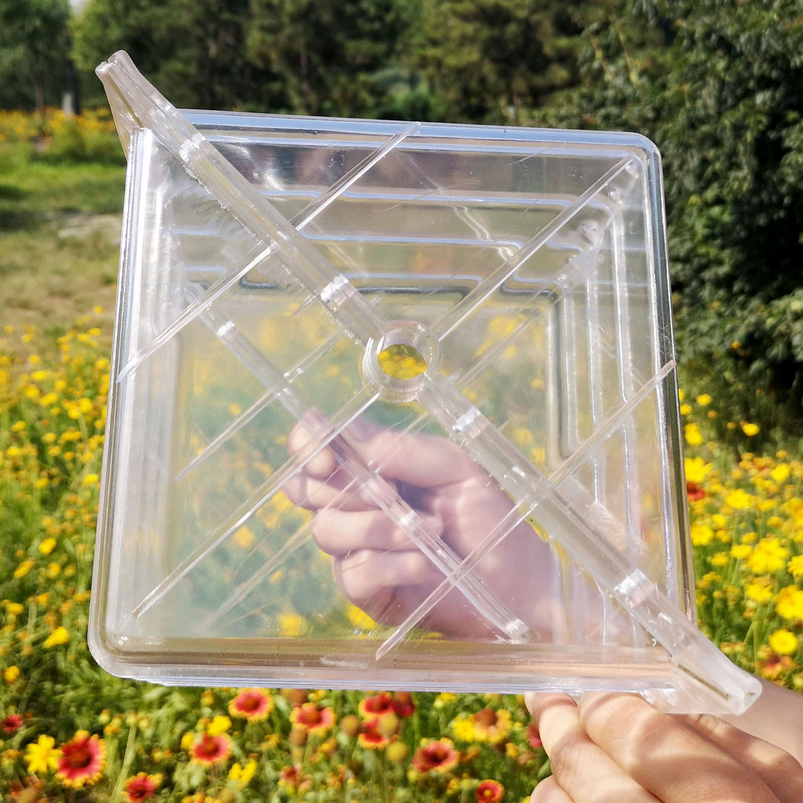 사각형 수박 성장 틀 독특하고 실용적인 정원 성형 도구 - Gardening Tools Unique 리뷰 및 가격
