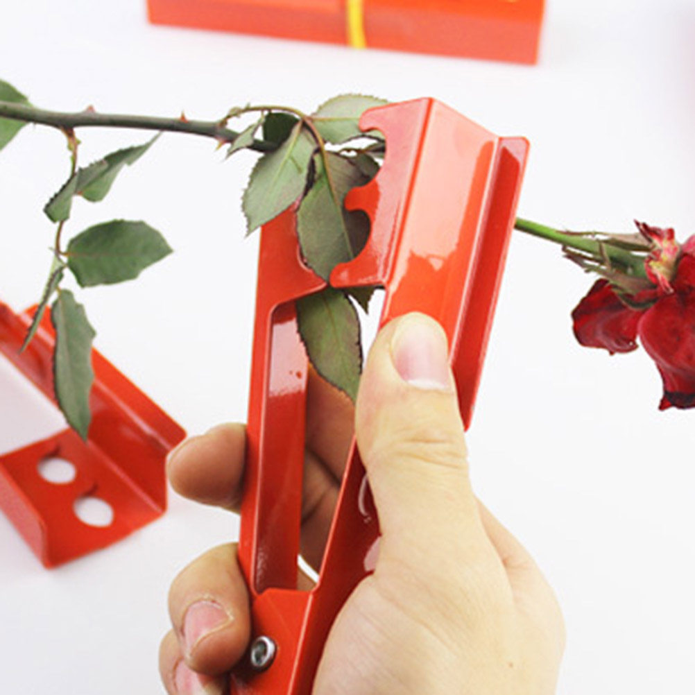 장미 가시 제거용 특수 디자인 정원 도구, 잎사귀 손질 - Gardening Tools Unique 리뷰 및 가격