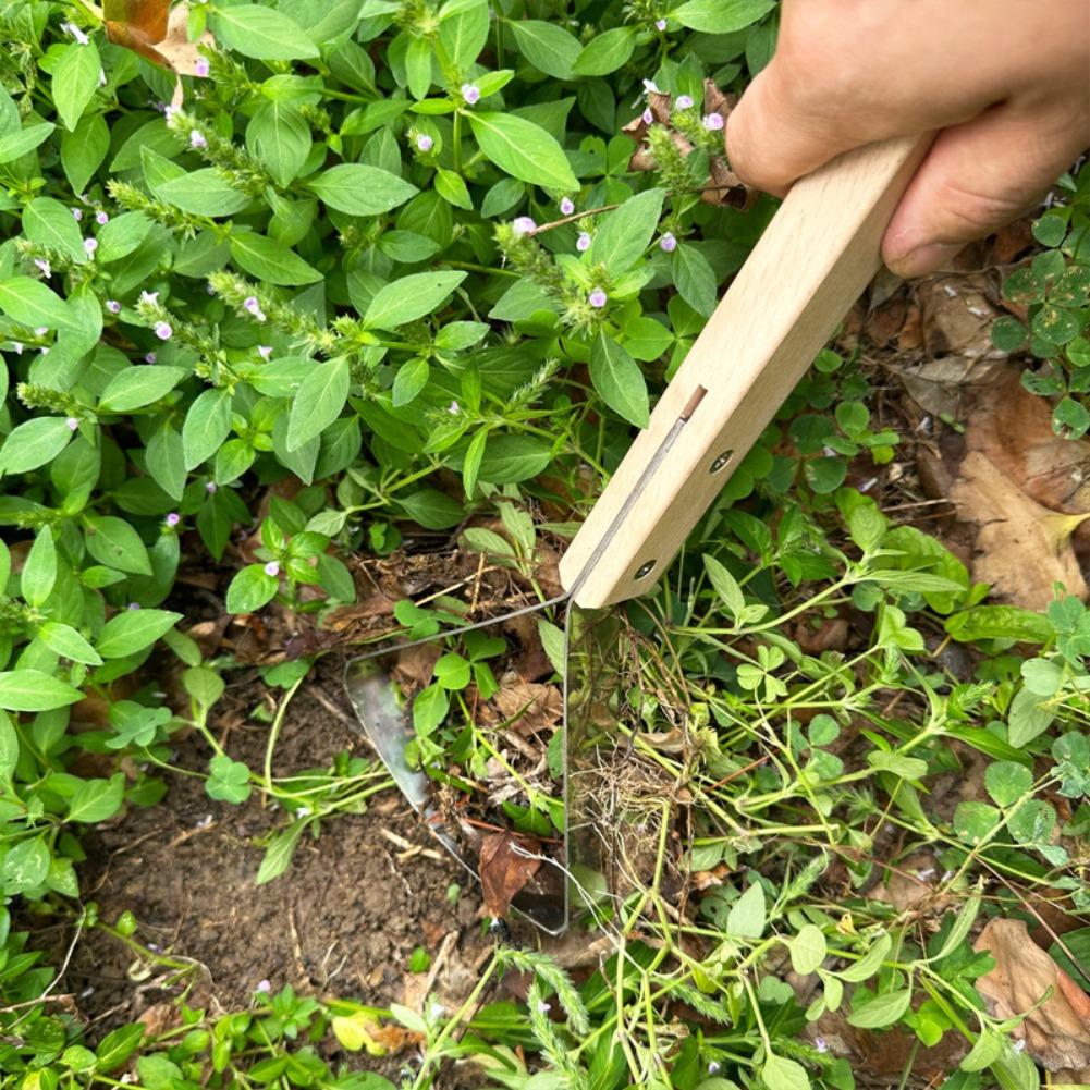 1개 정원 청소용 금속 스크레이퍼 삼각형 잔디 제초기  - Gardening Tools For Weeds 리뷰 및 가격