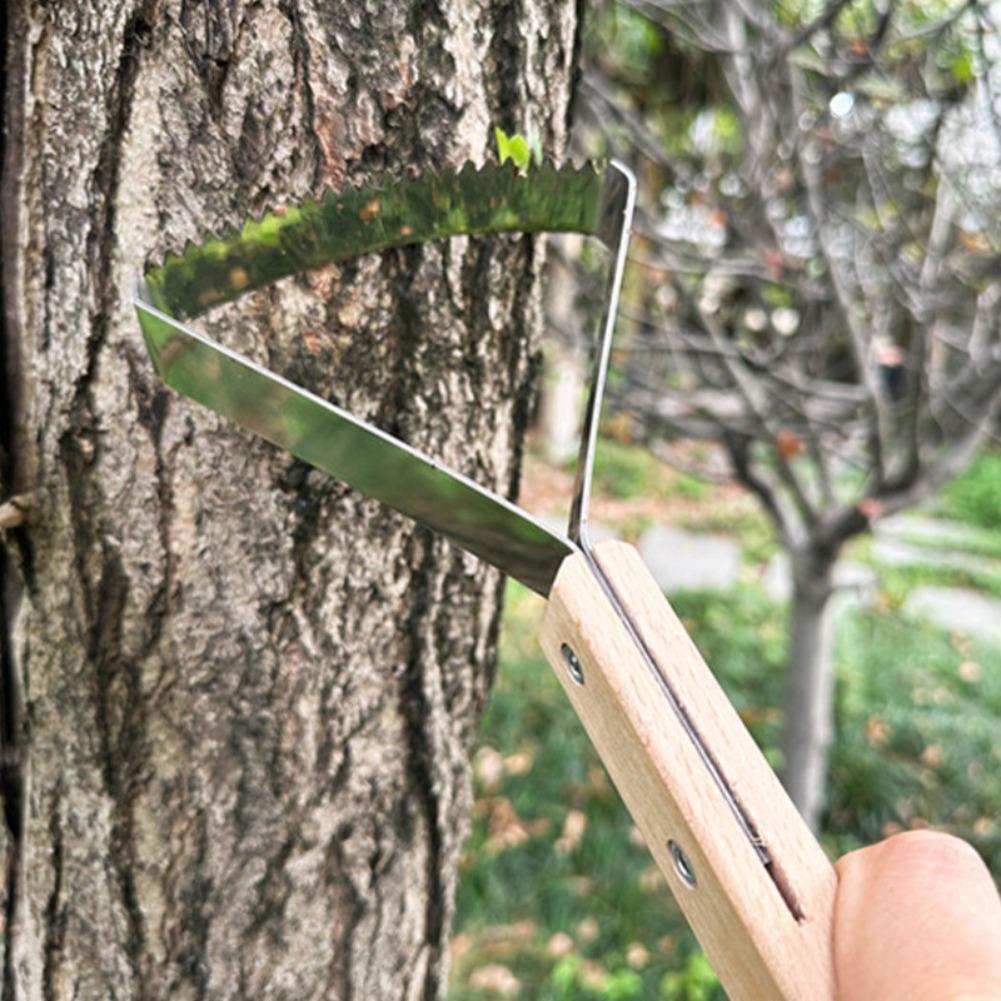 1개 정원 청소용 금속 스크레이퍼 삼각형 잔디 제초기  - Gardening Tools For Weeds 리뷰 및 가격