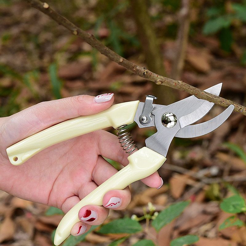 노동 절약형 정원용 가지치기 가위, 가지, 꽃 줄기 및 - Gardening Tools Brands 리뷰 및 가격