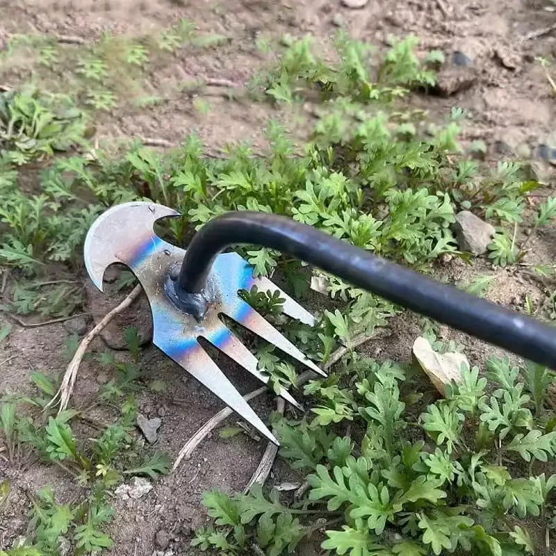 망간강 정원 제초기 흙 속의 풀 뿌리 제거용 수동 제초 - Gardening Tools For Weeds 리뷰 및 가격