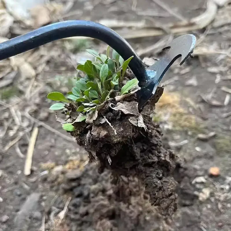 망간강 정원 제초기 흙 속의 풀 뿌리 제거용 수동 제초 - Gardening Tools For Weeds 리뷰 및 가격