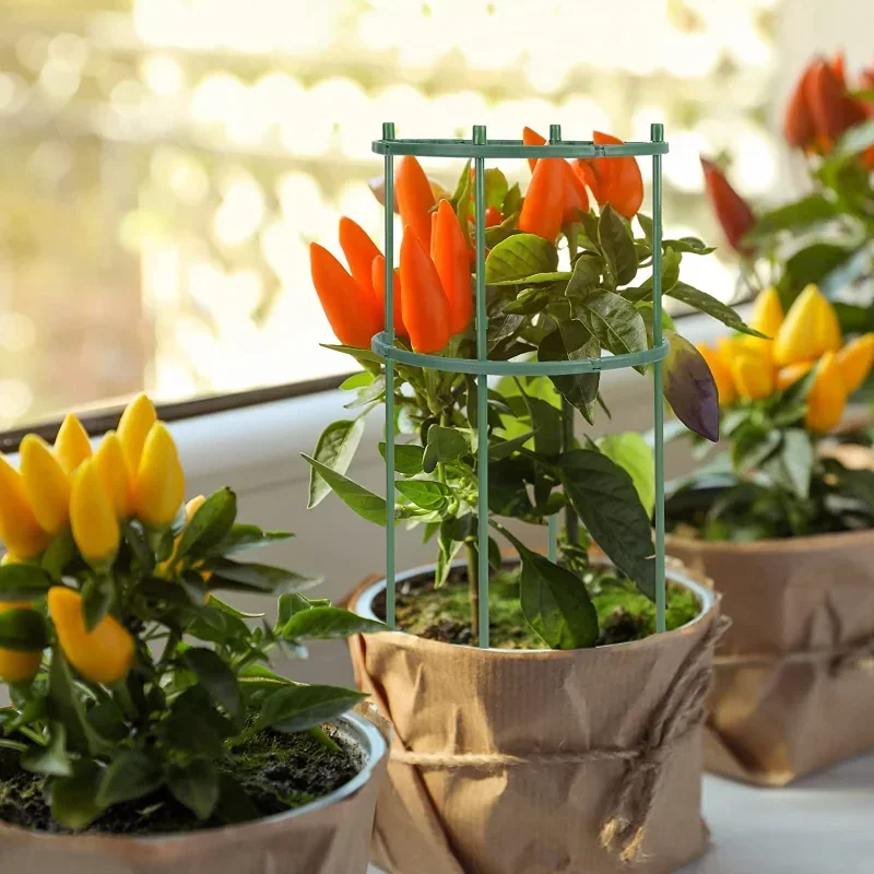 플라스틱 식물 지지대 꽃 온실 배열 고정 막대 홀더 정 - Gardening Tools Range 리뷰 및 가격