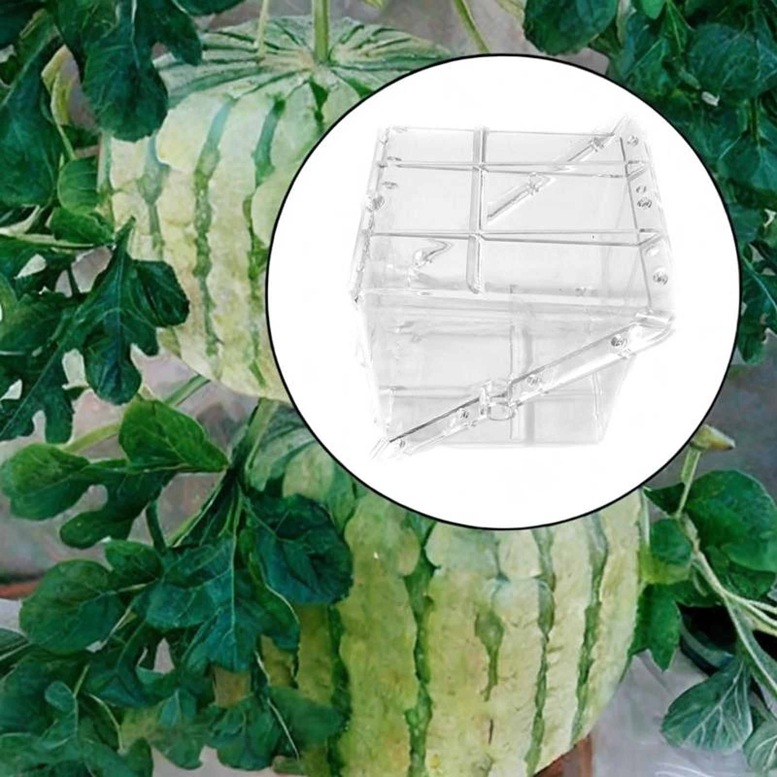 사각형 수박 성장 금형 장비 사용하기 쉬운 고인장 강도 - Gardening Tools Unique 리뷰 및 가격