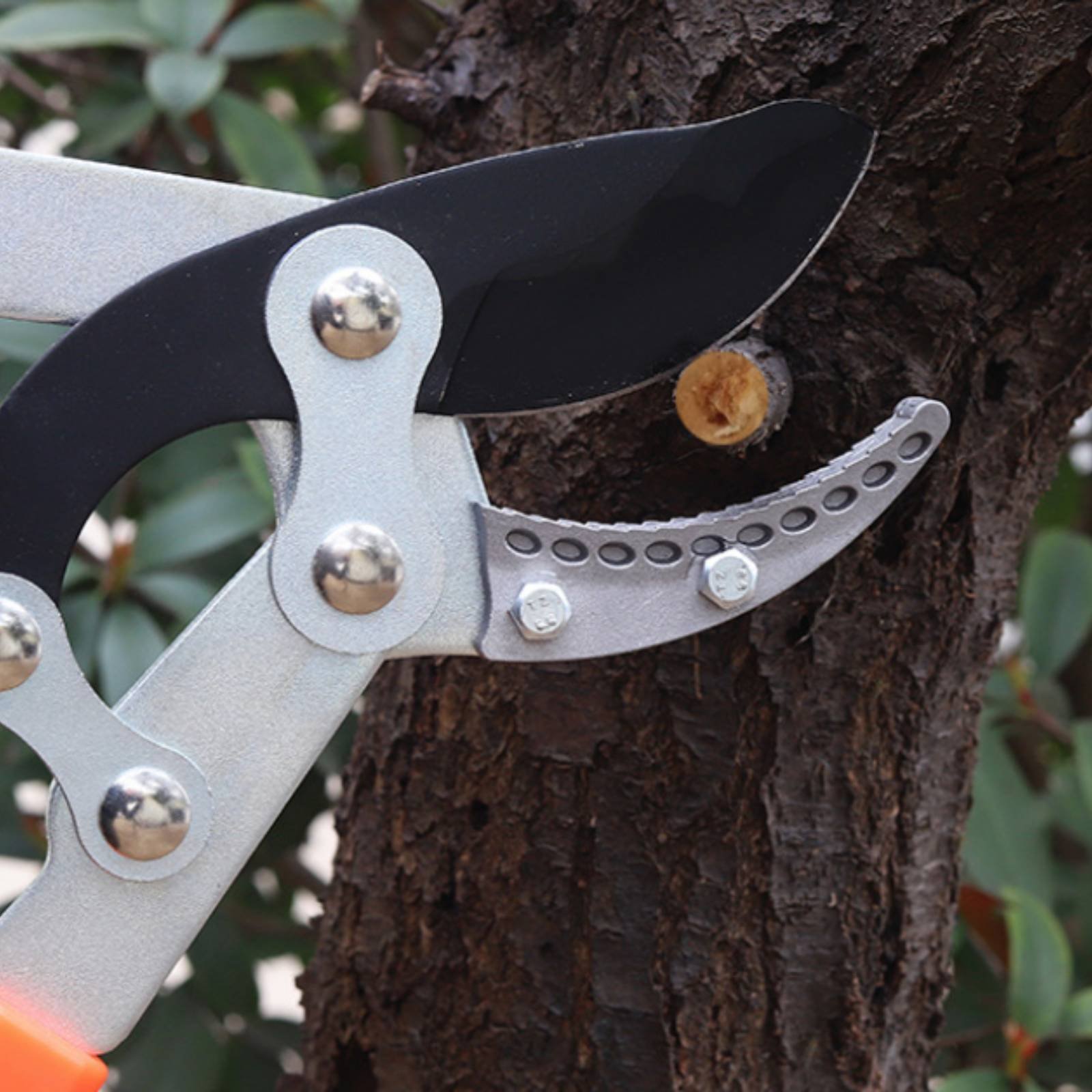 텔레스코픽 가지치기 가위 날카로운 칼날 튼튼한 트리 프 - Gardening Tools 리뷰 및 가격