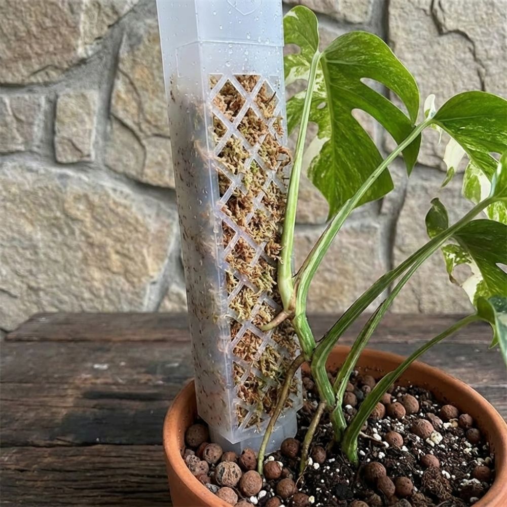 D자형 자동급수 식물 드립 플라스틱 조절식 유량 조절  - Automatic Plant Waterer 리뷰 및 가격