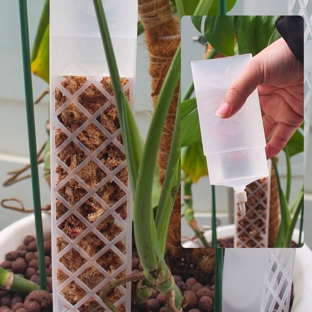 D자형 자동급수 식물 드립 플라스틱 조절식 유량 조절  - Automatic Plant Waterer 리뷰 및 가격