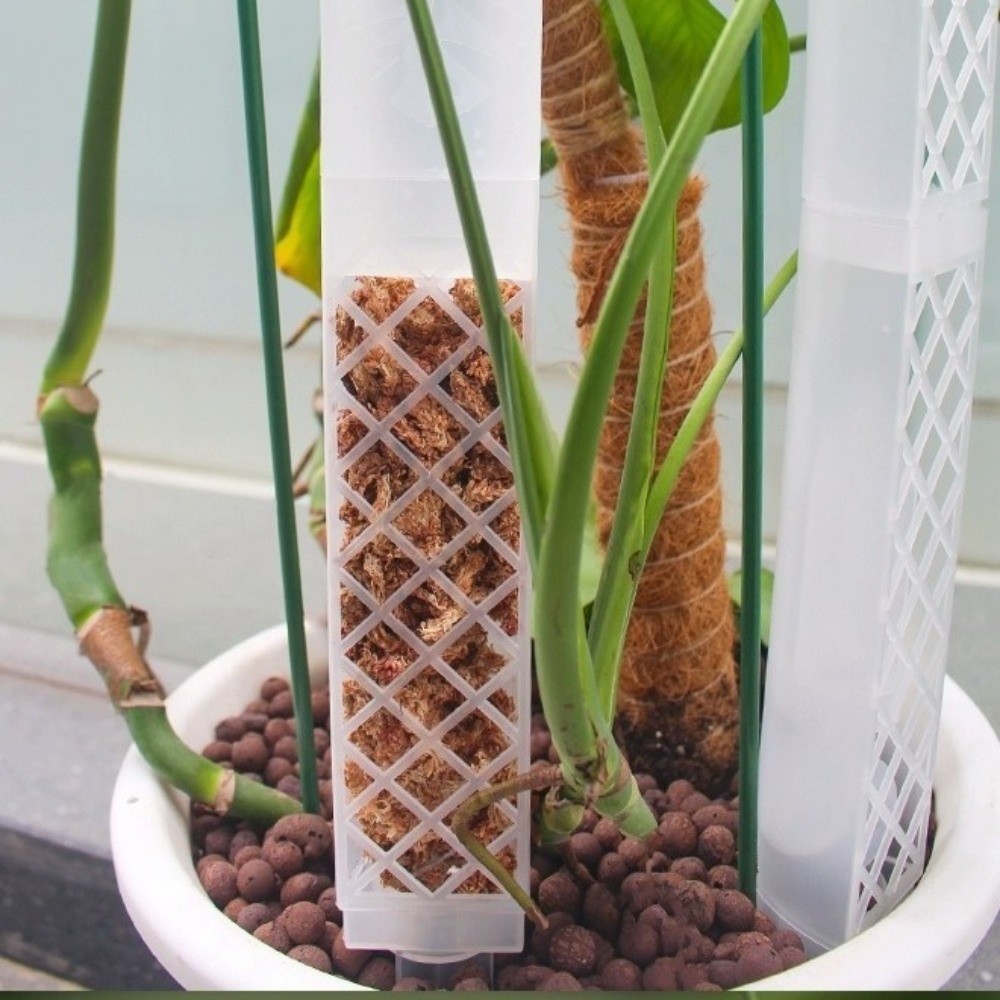 D자형 자동급수 식물 드립 플라스틱 조절식 유량 조절  - Automatic Plant Waterer 리뷰 및 가격