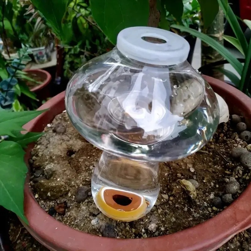 자동 식물 급수기 물방울 관개 장치 꽃 식물용 물방울  - Automatic Plant Waterer 리뷰 및 가격