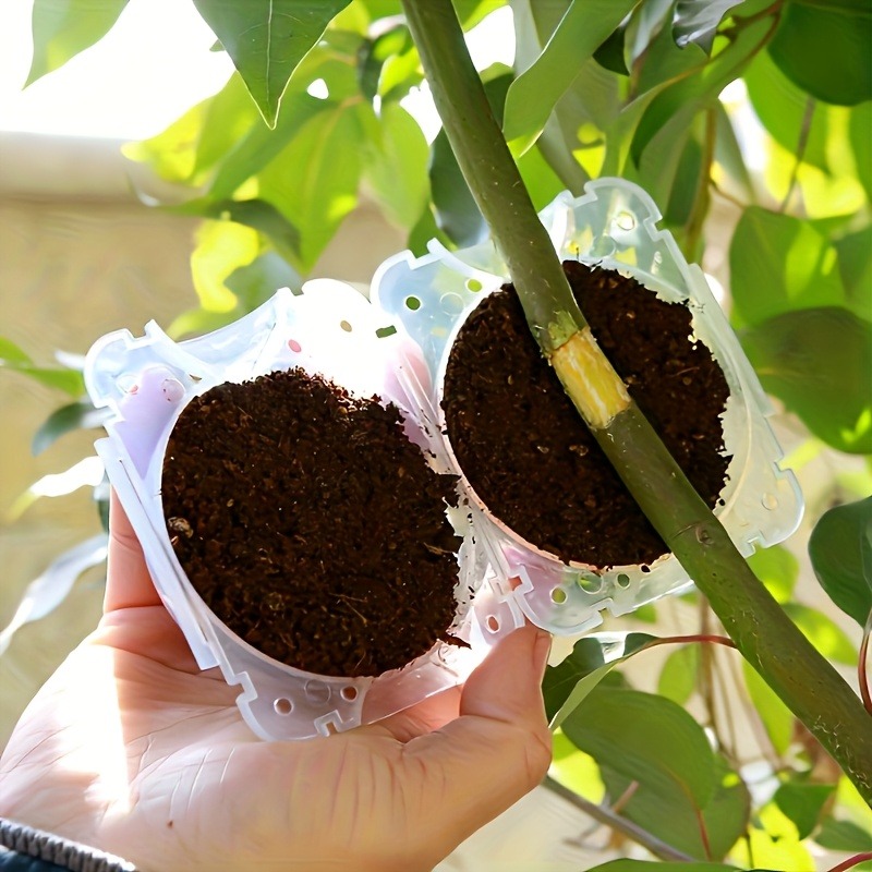 10개입 고압 식물 뿌리화 번식 상자 키트, 정원용 압 - Gardening Tools Cutter 리뷰 및 가격