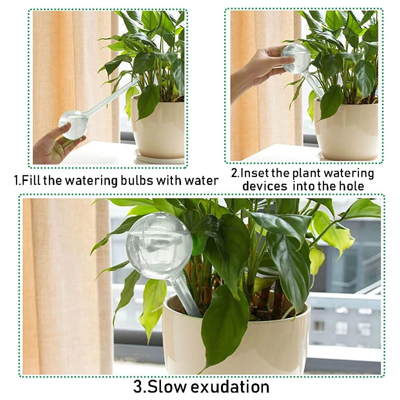 5/10PCS 자동 식물 급수 전구 자체 급수 글로브  - Automatic Plant Waterer 리뷰 및 가격